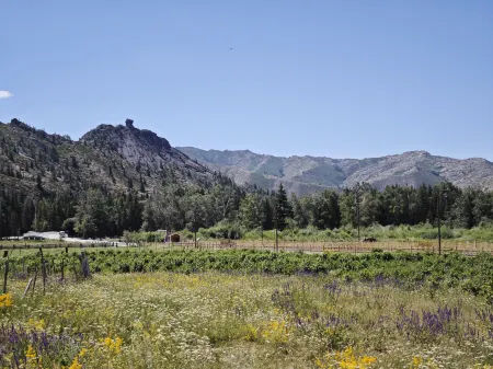 Treasure House Отели рядом с достопримечательностью «The Koktokay No. three pit»