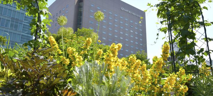 Sapporo View Hotel Odori Park Các khách sạn ở Sapporo