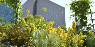 Sapporo View Hotel Odori Park