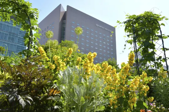 โรงแรมซัปโปโร วิว โอโดริ พาร์ค