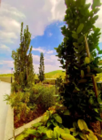 FZ Homestay @ Putrajaya P5 : Luxury & scenic stay Hotels near Federal Court of Malaysia