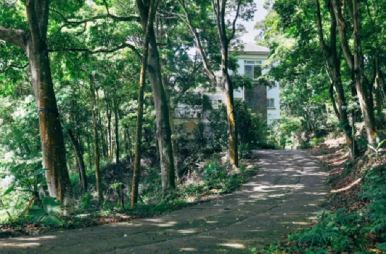 Lvbolang by REINDEER, Sanyi Hotels near Fugui Mudan