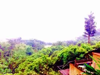 Akha Hill House