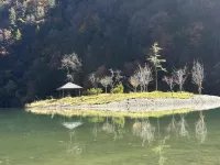 Qingxin Mountain Residence Homestay in Heishui County โรงแรมในเฮ่ยซุ่ย