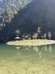 Qingxin Mountain Residence Homestay in Heishui County