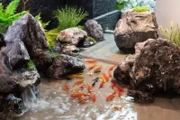 Xingwang Designer Hotel (Chongqing Yangjiaping Pedestrian Street Branch) Hotels in Yangjiaping