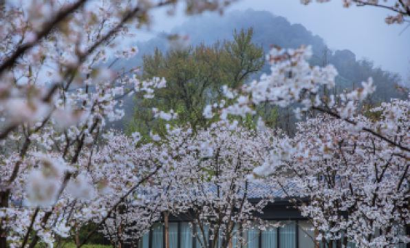 Peitree Resorts Yaoliang