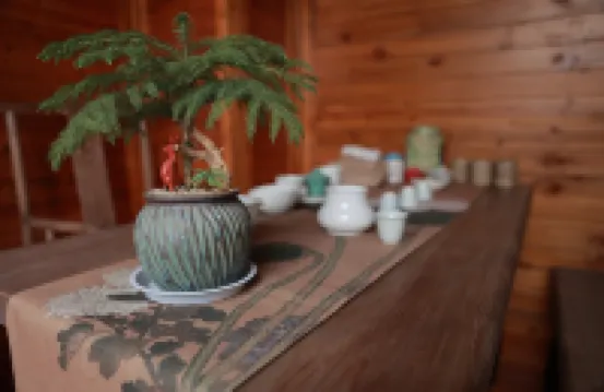 SUZHOU ·Jiyuan sujing guesthouse