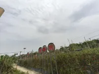 Dongxing Luming Mountain Villa (Beilun Estuary Nature Reserve) - สระว่ายน้ำแบบอินฟินิตี้