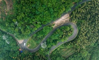 Jiayang Group, Wohong Village, Yuyao, Zhejiang, China, 450 meters north of Maohuping