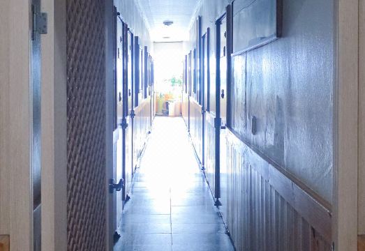 숙소 주변 길거리야와 한옥마을 풍경