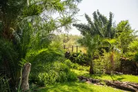 Chobe Water Villas Hotels in 