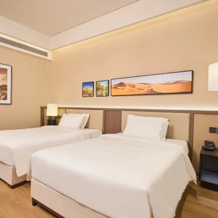 Thhe  Guesthouse