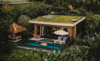 Munduk Moding Plantation Nature Resort