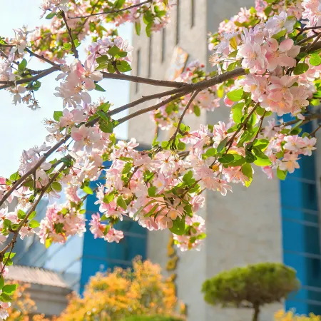 Jinpeng Eco Hotel