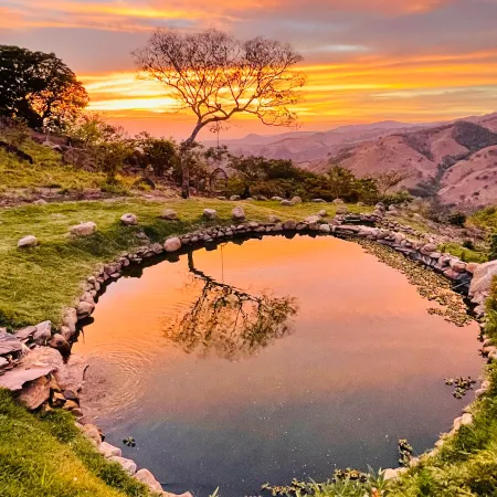 El Sol Monteverde