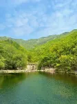 泰山·田園·歸心民宿（桃花峪登山口店） - 新開幕