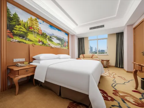 Vienna Hotel (Huidong and Run Pedestrian Street) - 2-Star