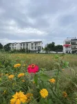 Jiashan YunYingMeiShu Inn