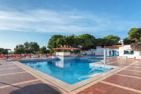 BnB Homes Jardim Cozy Apartment with 3 Swimming pools near the Old Town