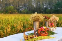 揚州潤德菲爾莊園 儀徵住宿飯店