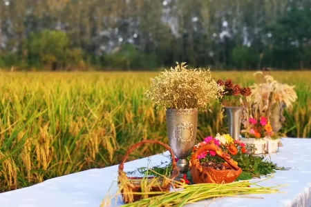 Yangzhou Rundfel Manor