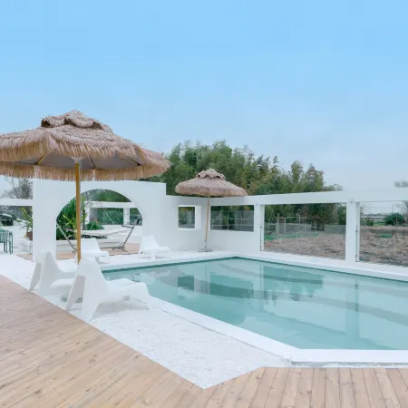 Xiazhi.dishini homeparty qingshe dujia meishu