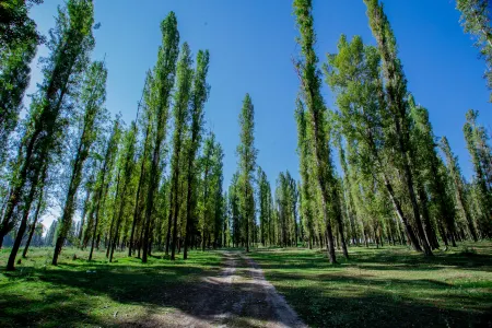 020, 2nd Lane, Agricultural Team, Bistobie Xin Cun, Bistobie Xiang, Xinyuan, Xinjiang, China. Отели в г. Синьюань