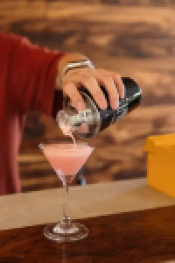 Harvestmoon Vinyl Record Villa