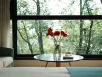 Looking for a mountain viewing season in Chongqing Hotels near Shapingba