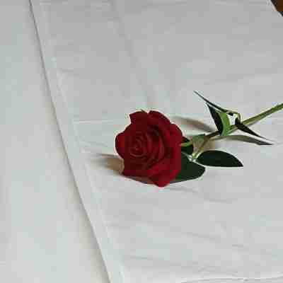 愛特萊國際大酒店 Rooms