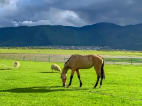 Shangri-La Ten Miles Snow Mountain Margheri Manor Hoteles cerca de Napahai Tourism Area Dala Scenic Spot