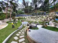 Selendra-Baguio City Suites - Mountain view