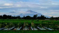 Baturiti Modern Guest House with private pool Hotels in Kecamatan Kalasan