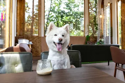 Nature in Nature Pet-friendly Courtyard（Jingzhuang） Các khách sạn ở 