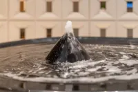 Taimu Hotel Hotels in Fuding