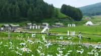SECRET FOREST GLAMPING RETREAT