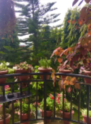 POKHARA APARTMENTS INN