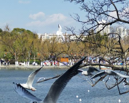 26 라이프 호텔 민족풍 객실