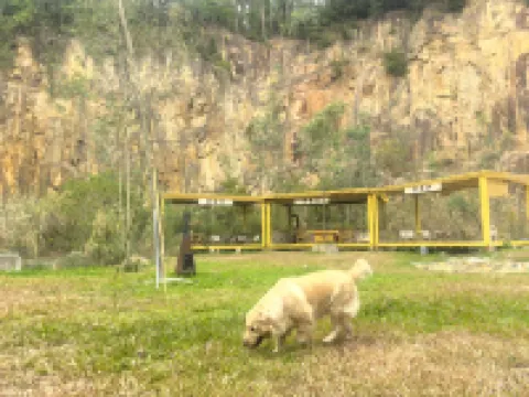 Lotus Dwelling Mountain Villa Homestay