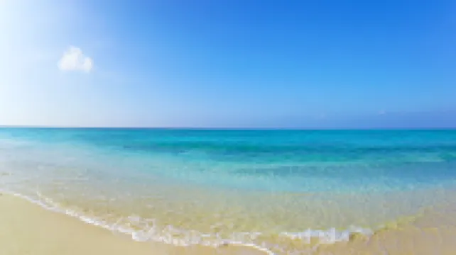 Free Rental Car included! - Sunstone Residence 2F