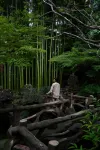 Yanyu Qingcheng Dream Garden Vacation Apartment (Qingchengshan Town)