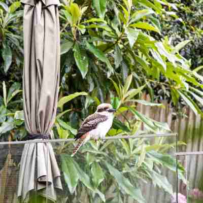 Bright & Cozy Rooms – Steps to Train & Shops Hotel Exterior