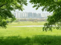 ANAZAN NATURALSCENERY HOTELE - วิว