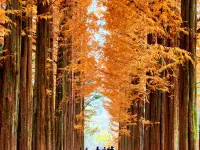Nami Island Hotel Jeonggwanru Hotels near Gapyeong-eup