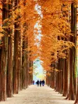 Nami Island Hotel Jeonggwanru - 2つ星