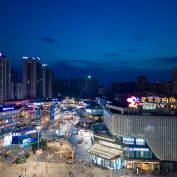 Zigong Dreamhouse Design Homestay