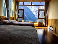 Cat in Yubeng Snow Mountain View Guesthouse