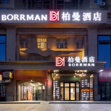 Borrman Hotel (Korla Kongquehe)