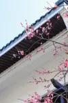 GRAND HOUSE  JIA XING - Romantic